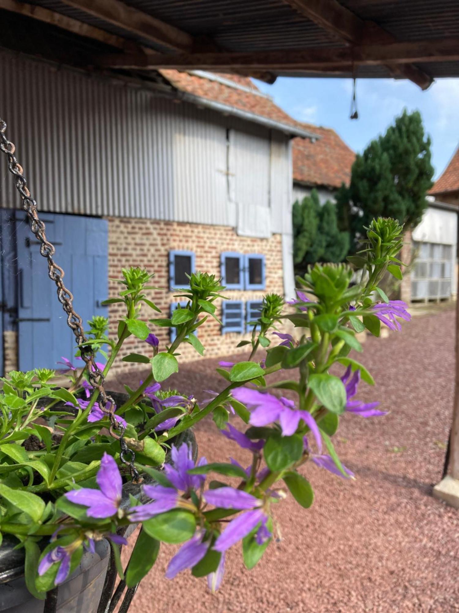 Bus-les-ArtoisLa Grange Aux Tommies - Pays Du Coquelicot别墅 外观 照片